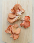 Dried pink oyster mushrooms on a wooden cutting board