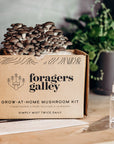 Mushroom Grow-At-Home Kit