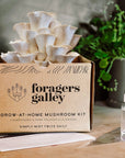 Foragers Galley mushroom kit with packaging and mushroom spawn on a wooden surface.