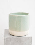 Two Tone Ceramic Pot With Green Detail