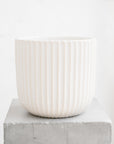 Cream Ceramic Pot With Ridged Detail