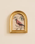 Picture Frame Magnet
