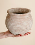 Lazio Terracotta Pot