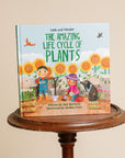 The Amazing Life Cycle of Plants