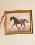 Framed Print - Antique Horse