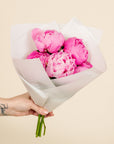 Peonies