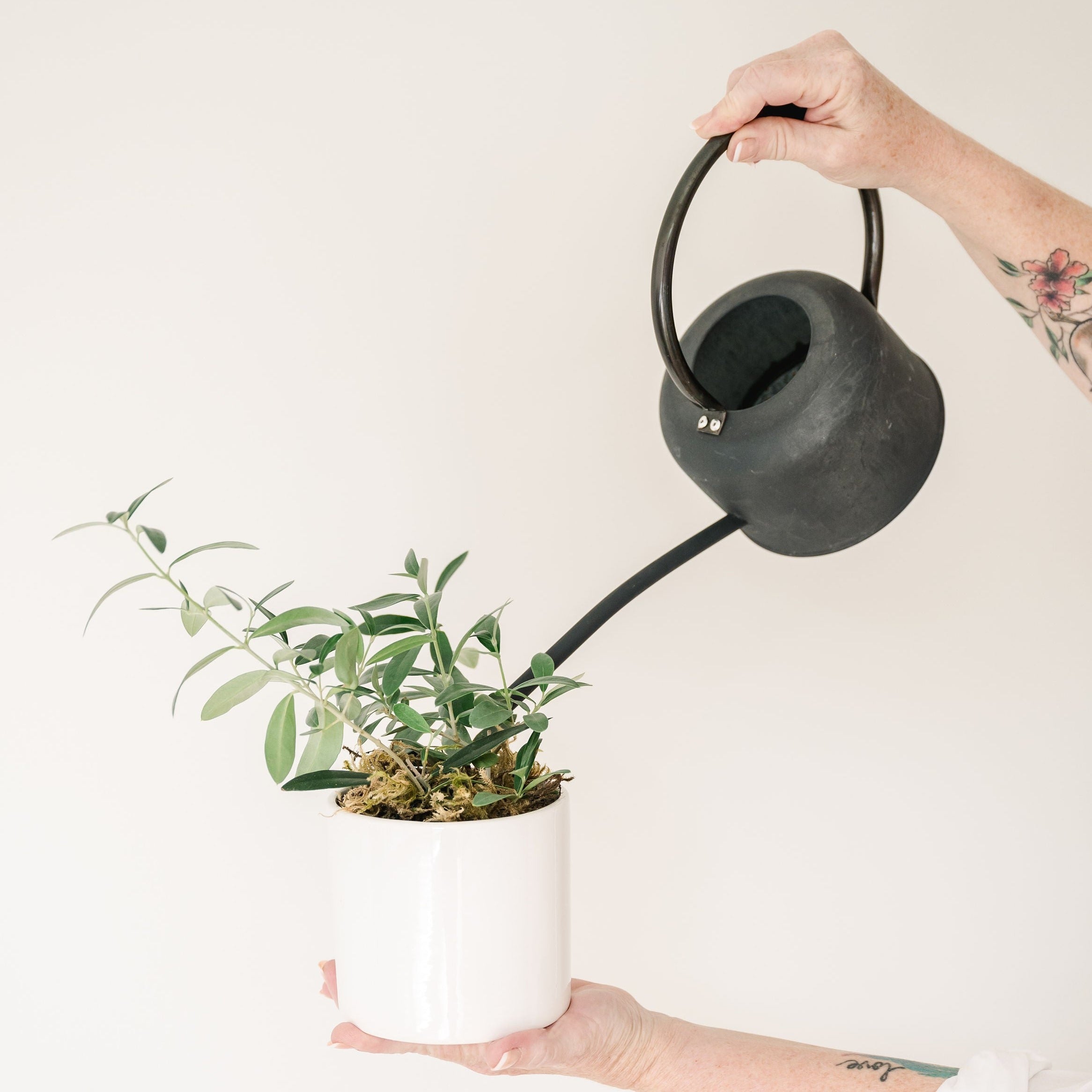 Watering Can Academy Florist