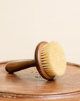 Dish Soap Scrub Brush