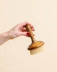 Dish Soap Scrub Brush