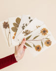 Herbaria Notecard Set