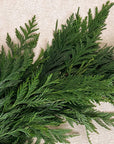 closeup of a cedar garland