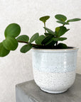 Two Tone Textured White and Blue Ceramic Pot