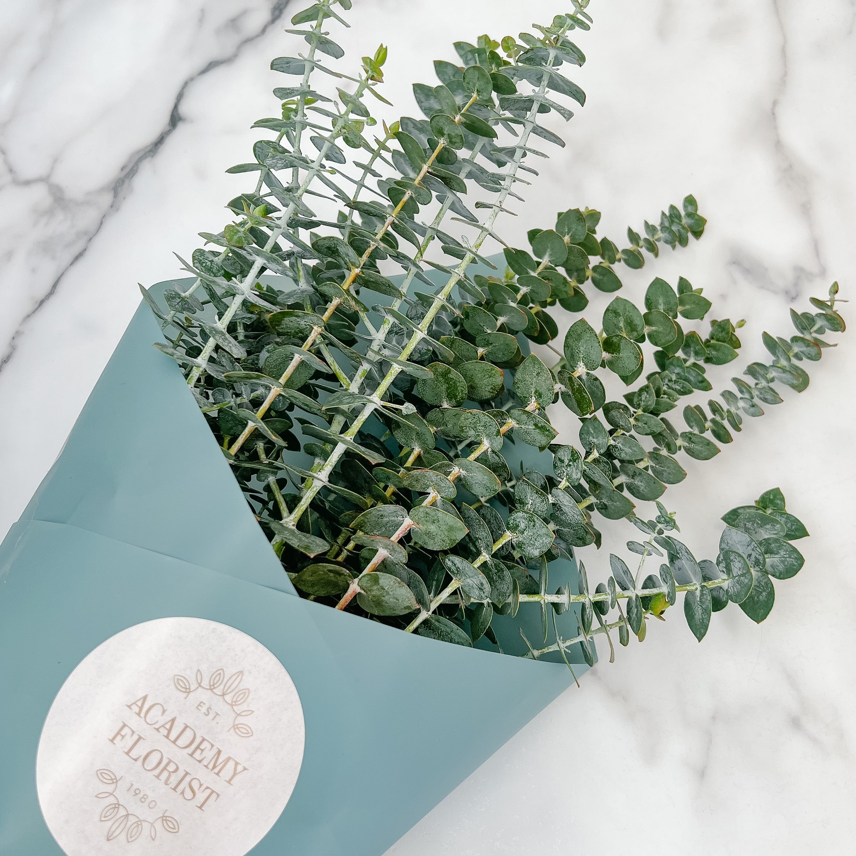 Fragrant Eucalyptus Bunch – Academy Florist