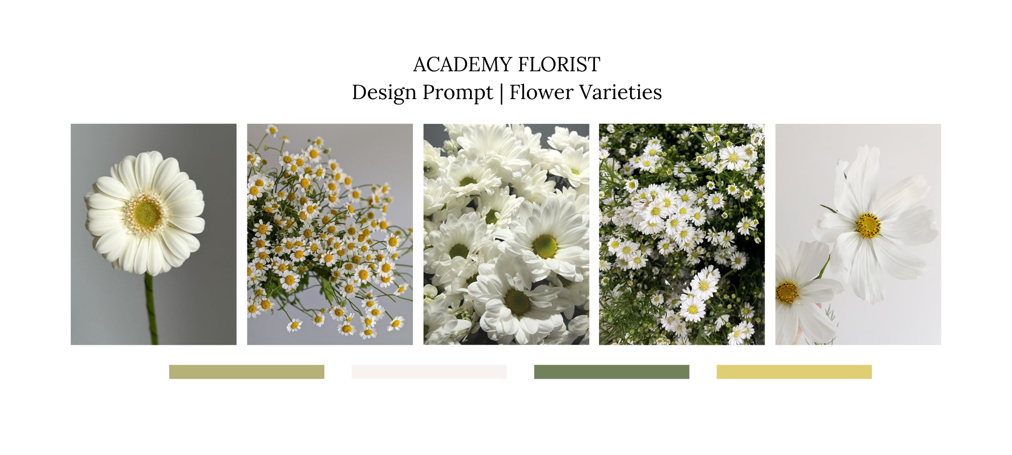 Collage of various flower varieties with 'Academy Florist' branding.
