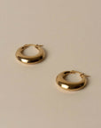 Gold hoop earrings on a beige background