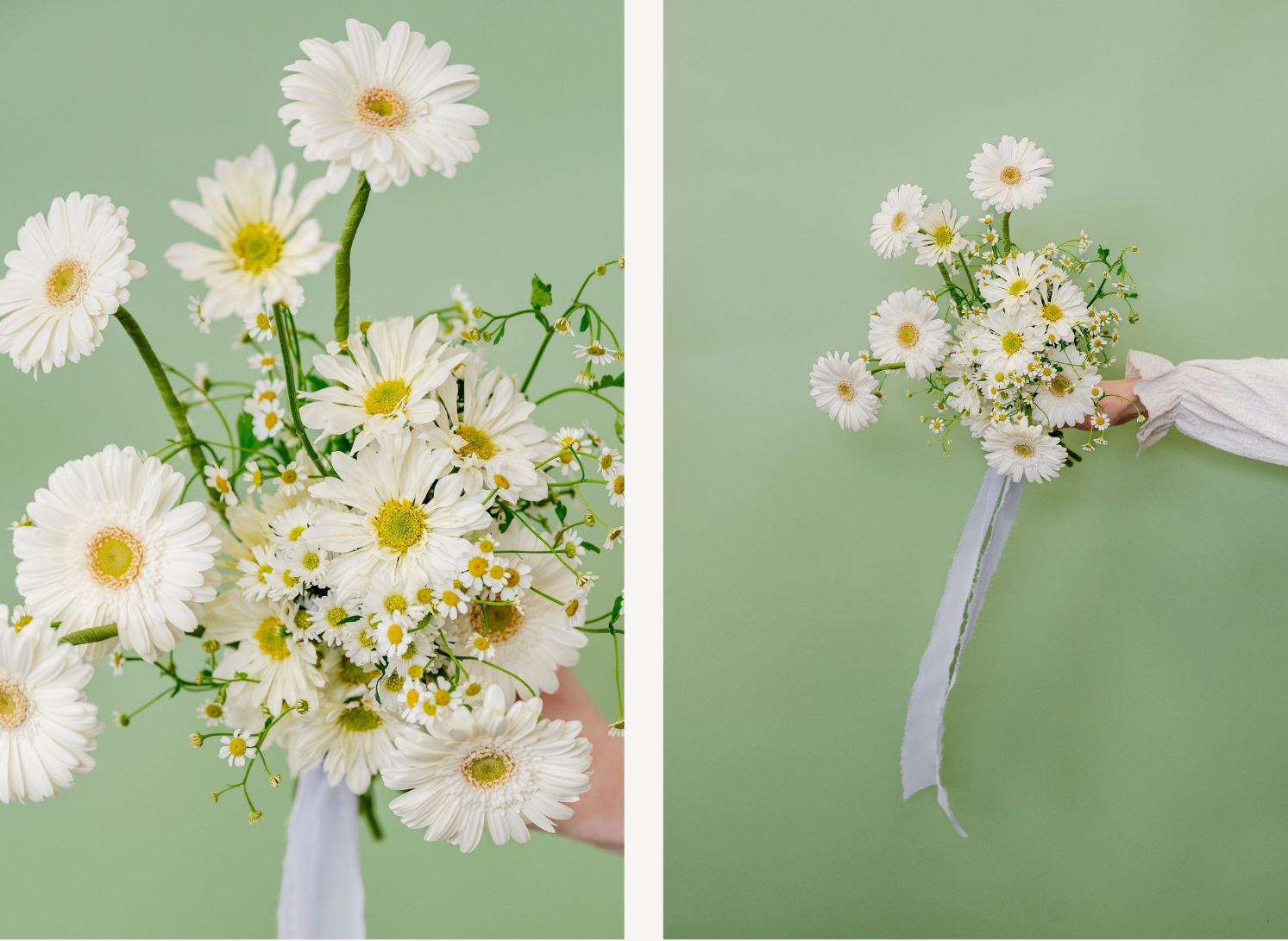 Two images of white flowers with green stems on a green background.