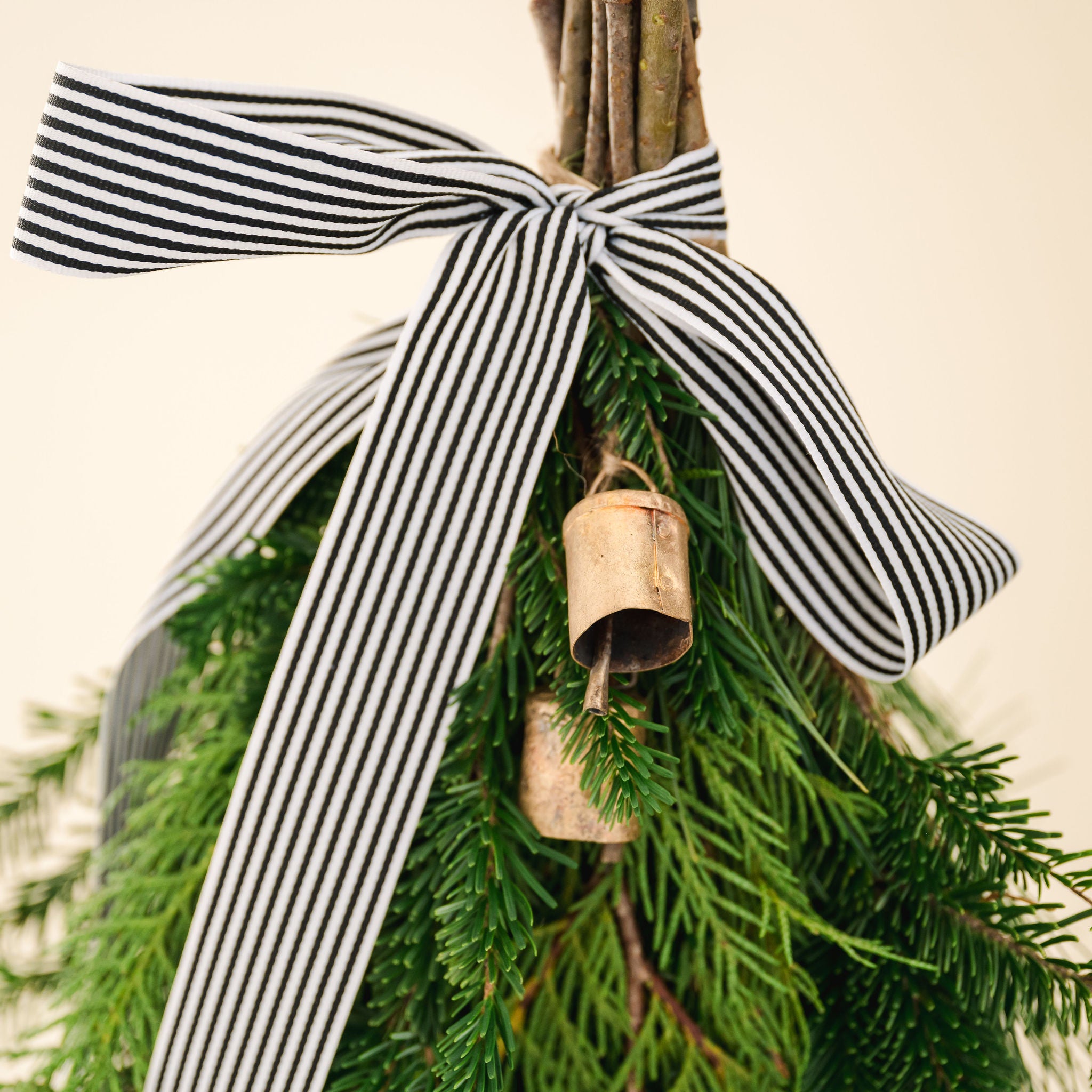 a closeup of black and white striped bow with two gold bells