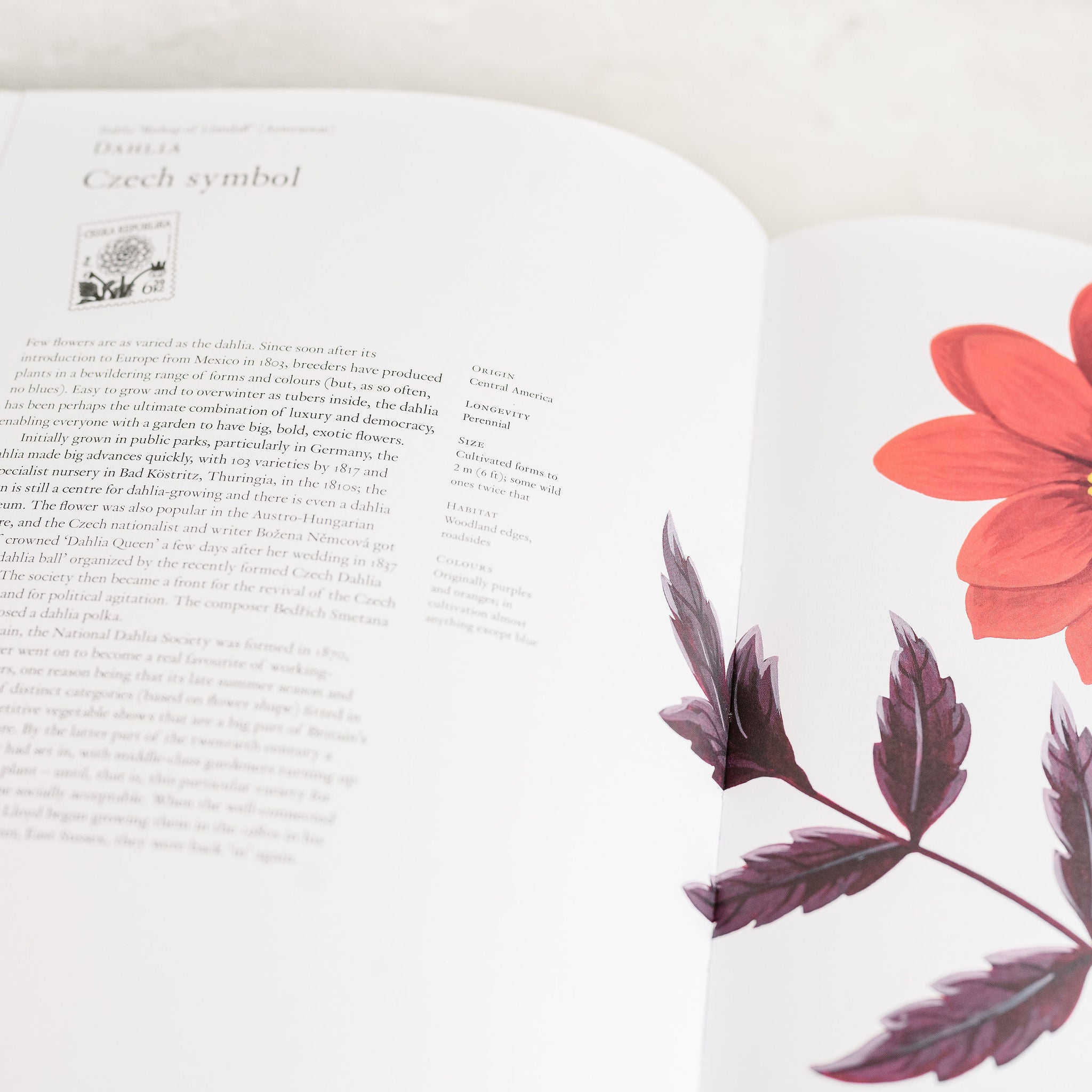 The Story of Flowers