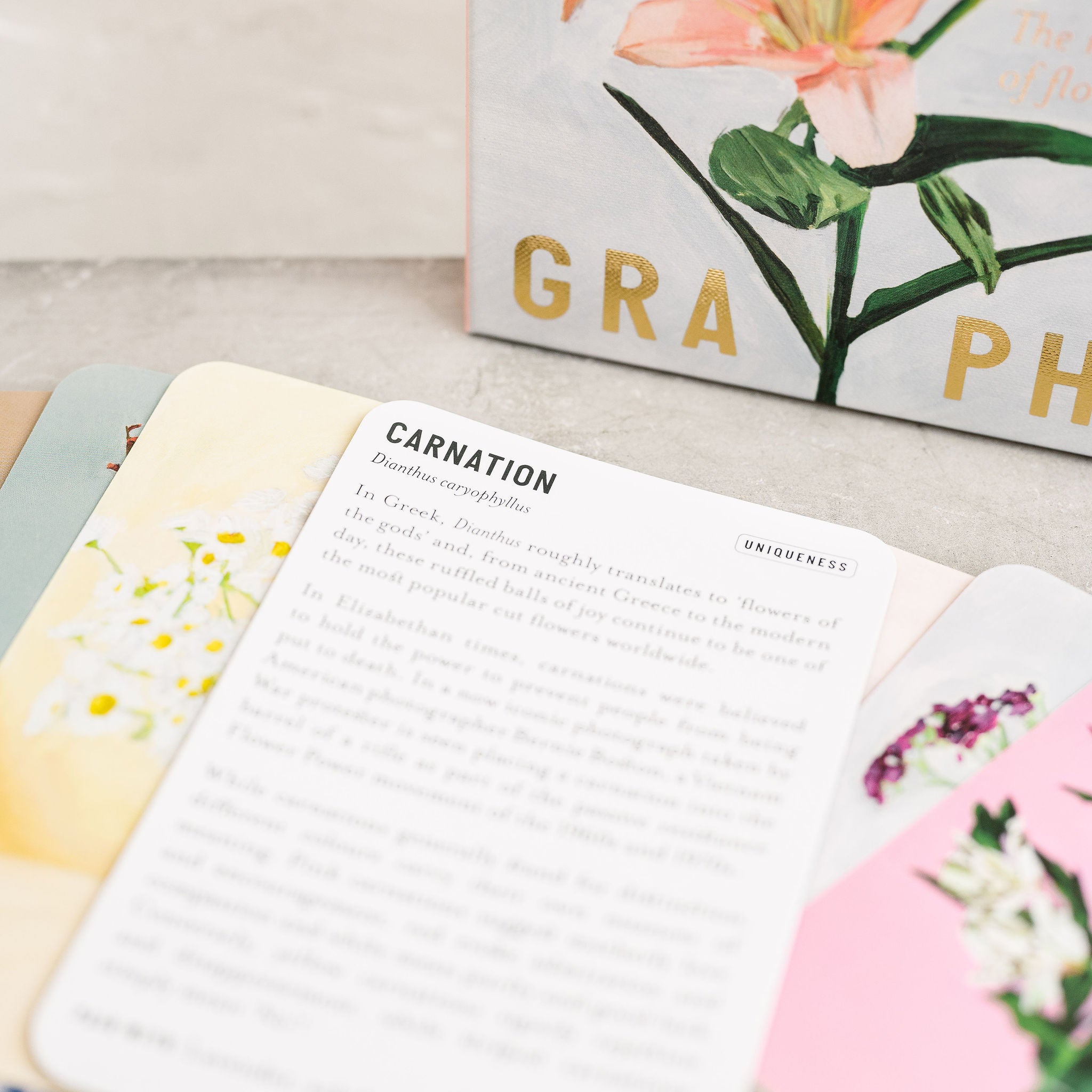 close up photo of the carnation card