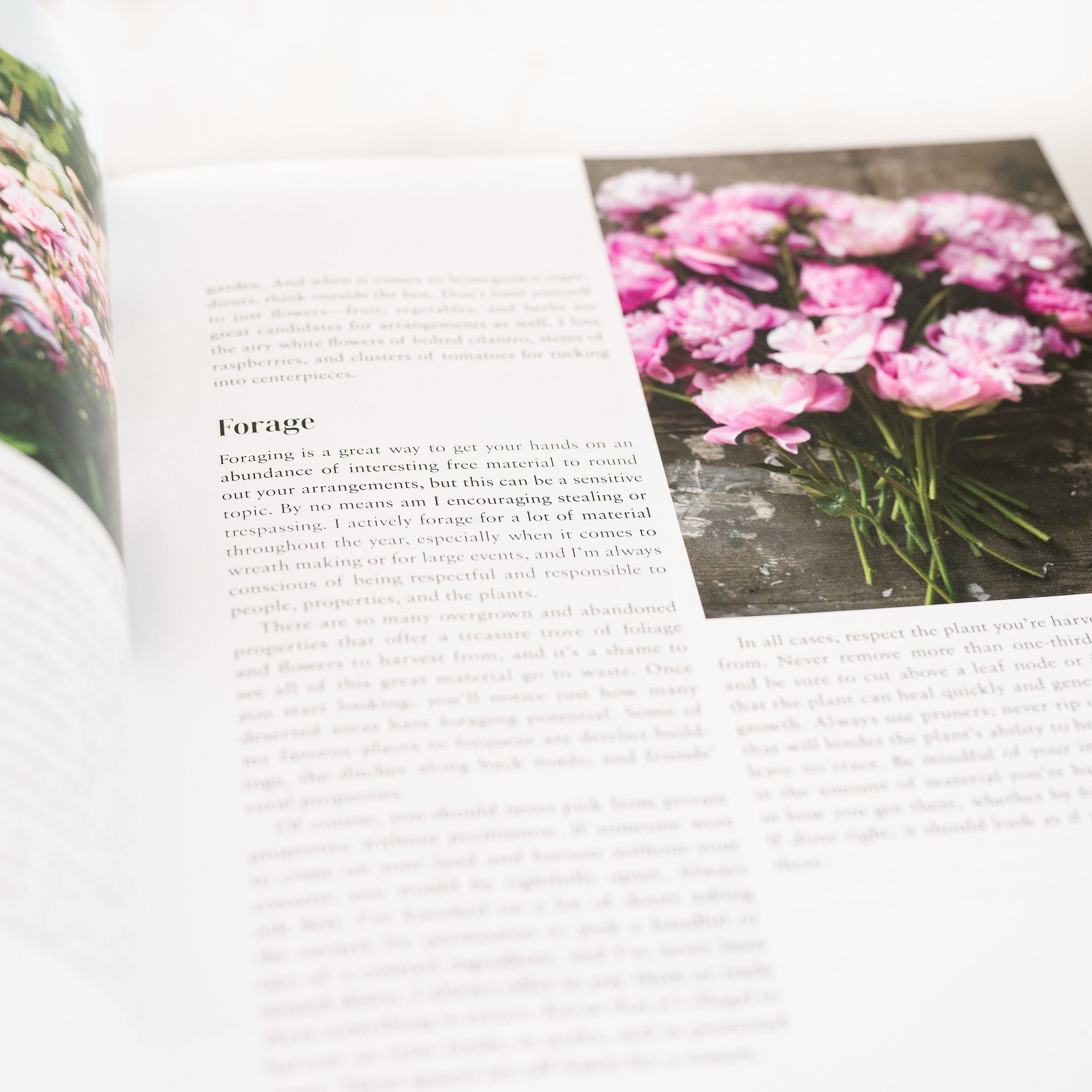 photo of a page subtitled Forage with a photo of pink peonies