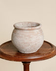 Lazio Terracotta Pot