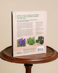Houseplants for Beginners