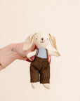 Dressed Up Animal Plush