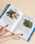Houseplants for Beginners