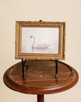 Black Iron Tabletop Easel