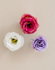 Graduation Lisianthus Boutonniere