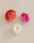 Graduation Ranunculus Corsage