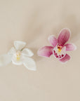 Graduation Orchid Boutonniere