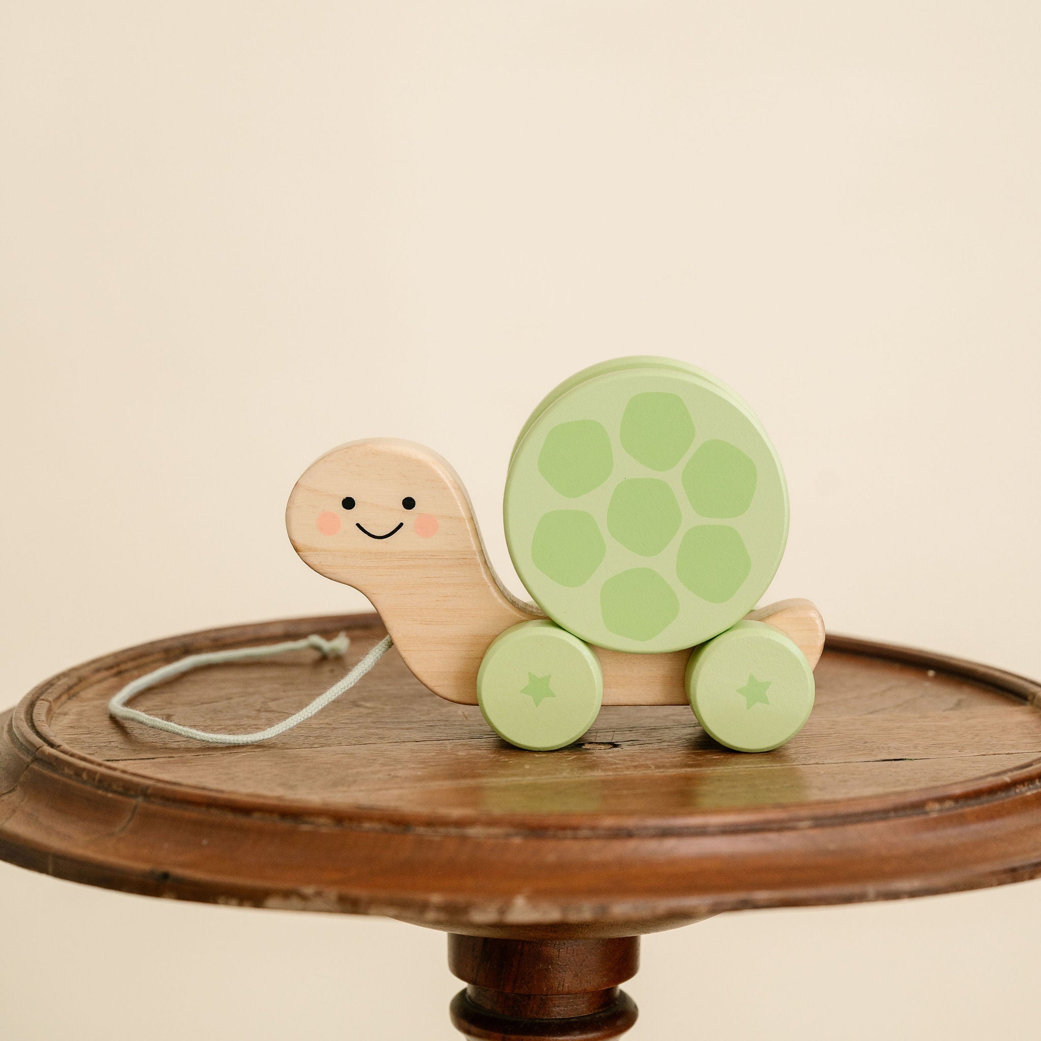 Wooden Turtle Pull Toy