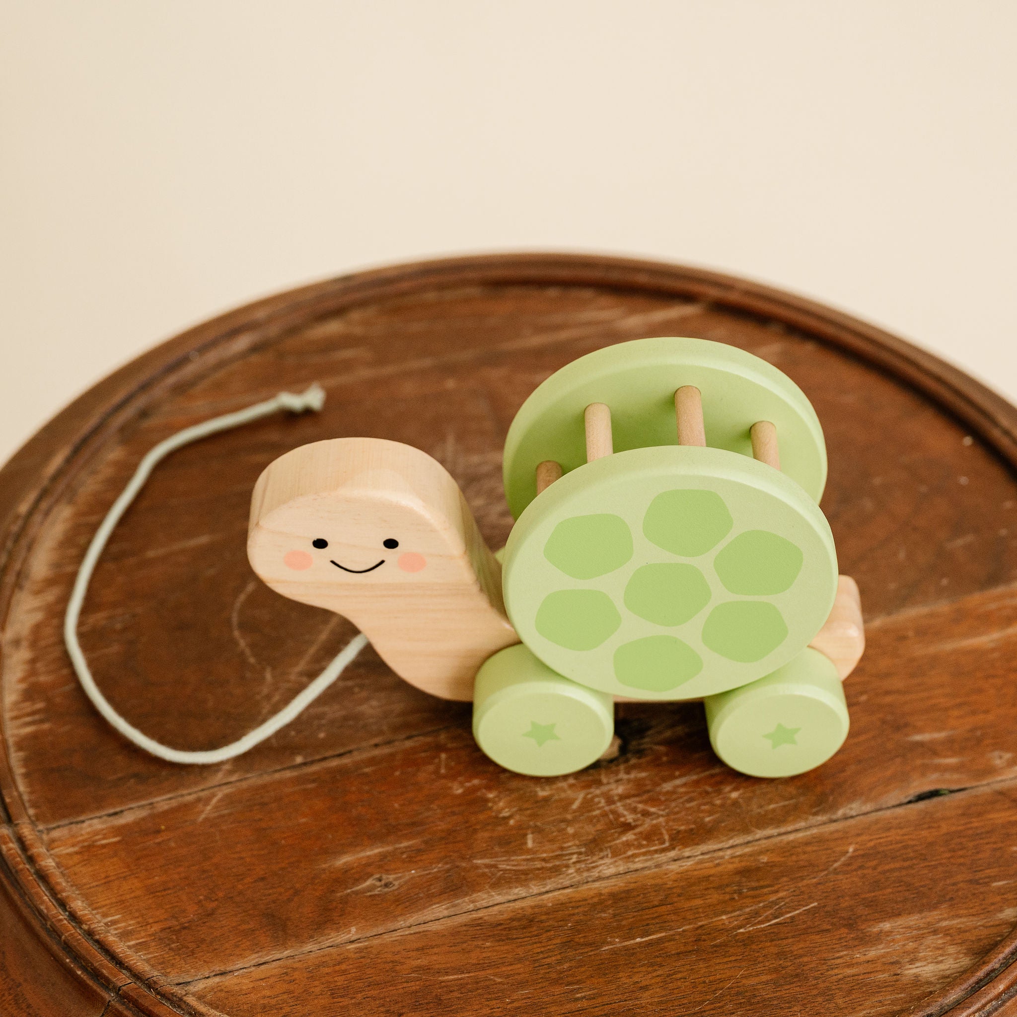 Wooden Turtle Pull Toy
