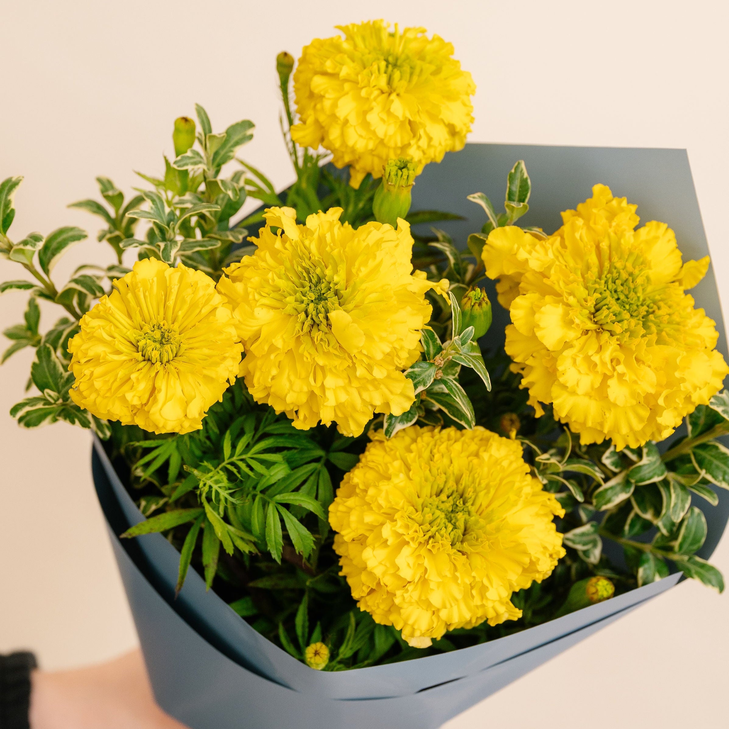 Bouquet of yellow flowers wrapped in gray paper held by a person.