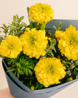 Bouquet of yellow flowers wrapped in gray paper held by a person.