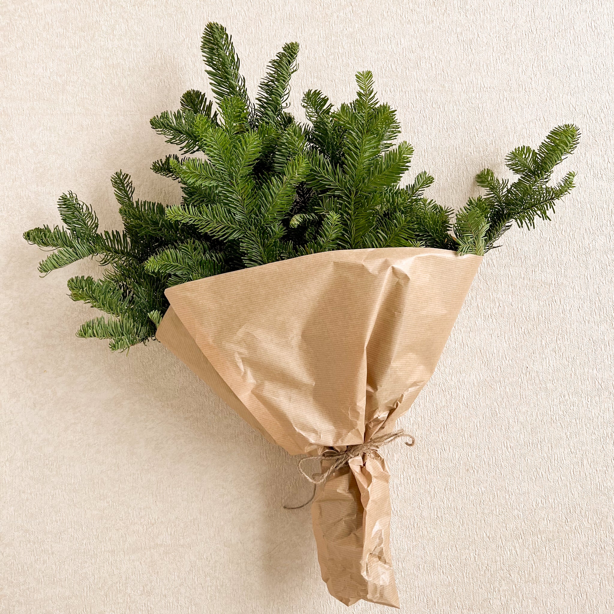 Fir Bunch