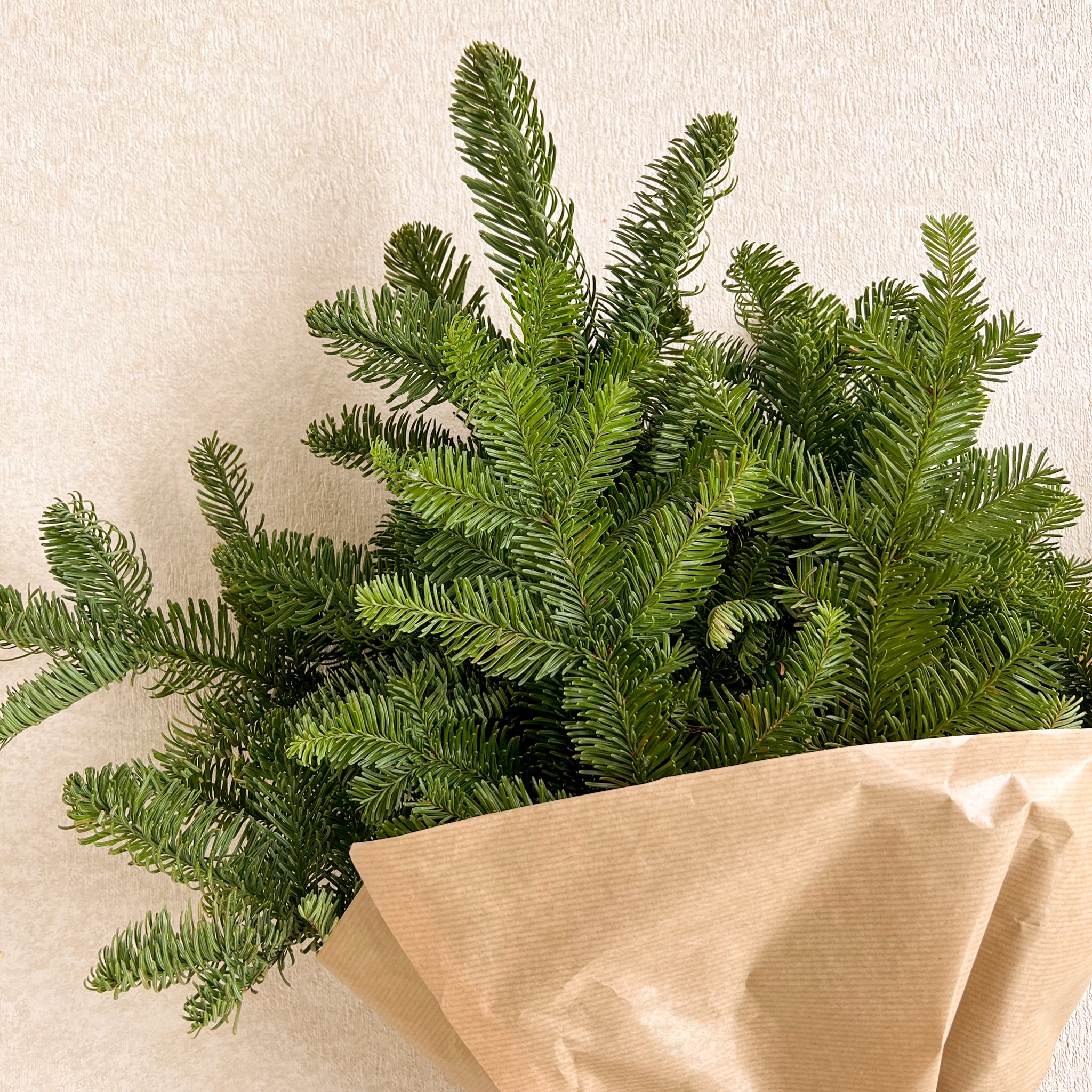 Fir Bunch
