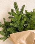 Fir Bunch
