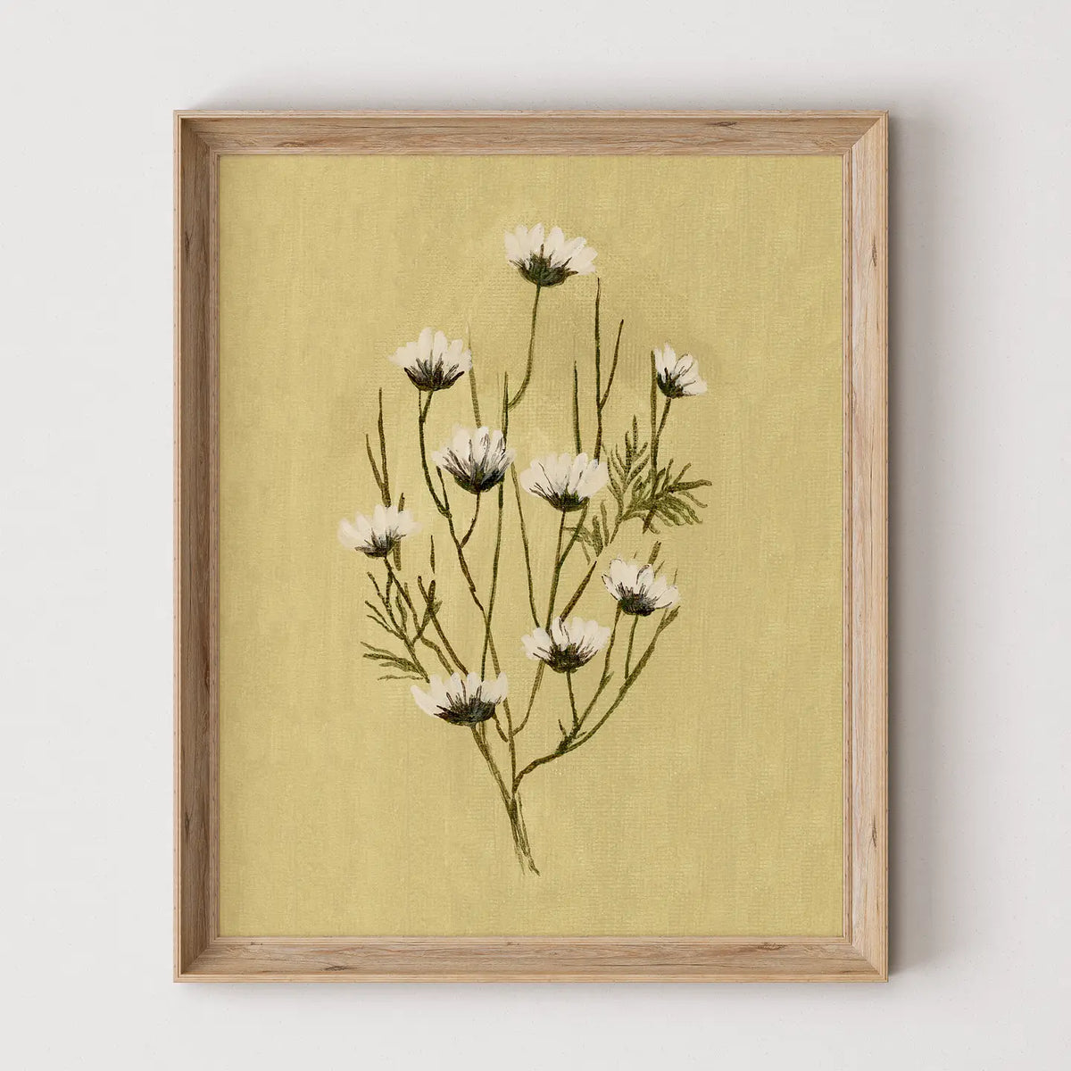 Daisy Print - 5 x 7